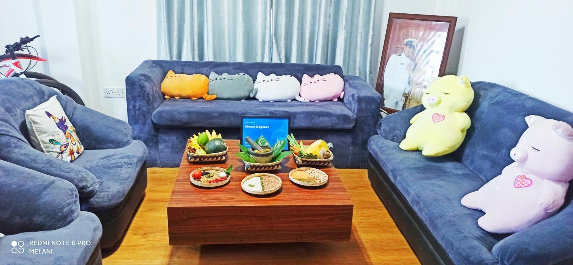 דירות נוארה אליה Mount Elegance מראה חיצוני תמונה